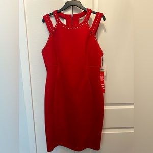 Calvin Klein Women's Double Strapped Sheath Dress